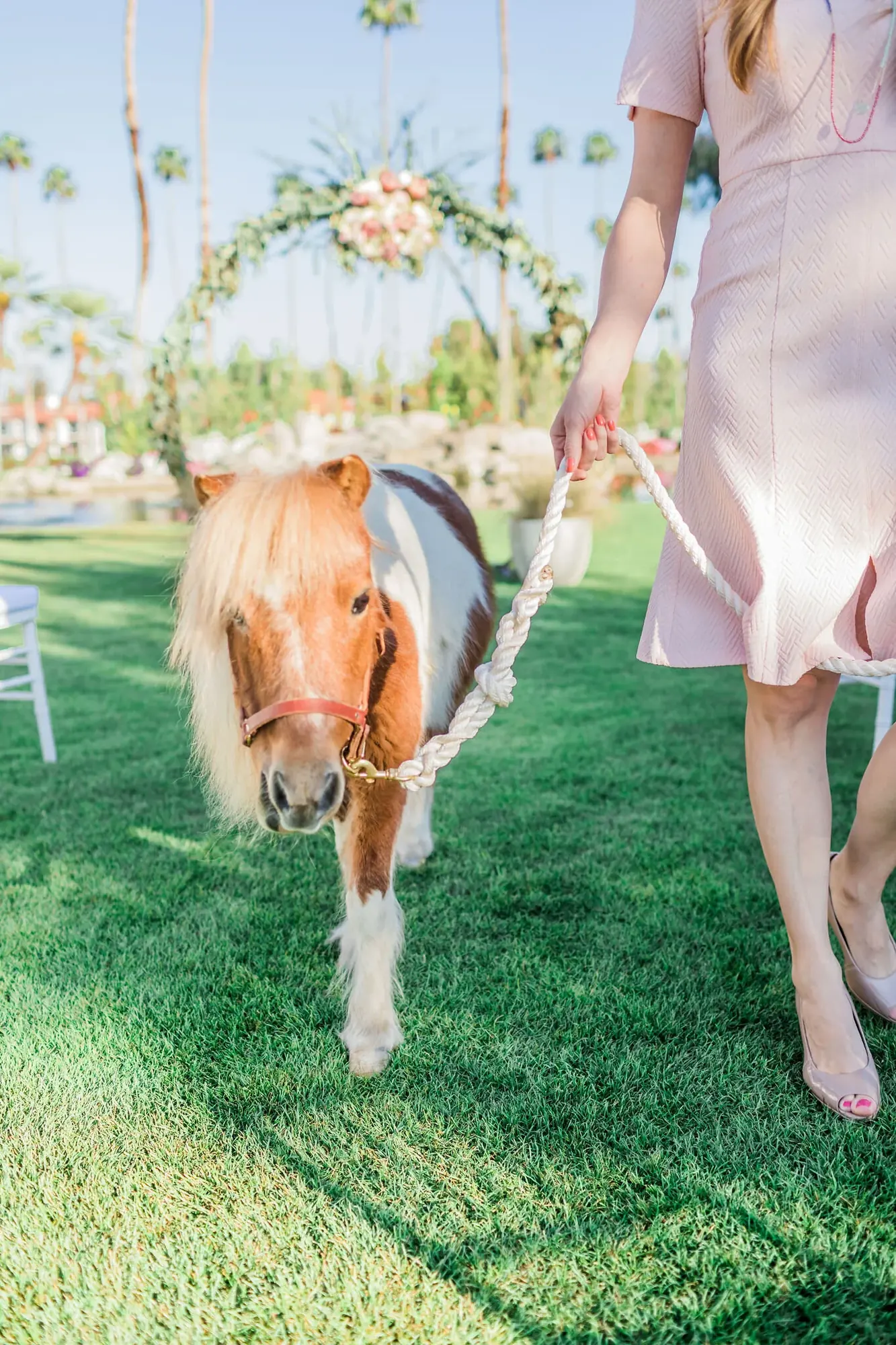 Wedding & Engagements photography by Monocle Project, image 35